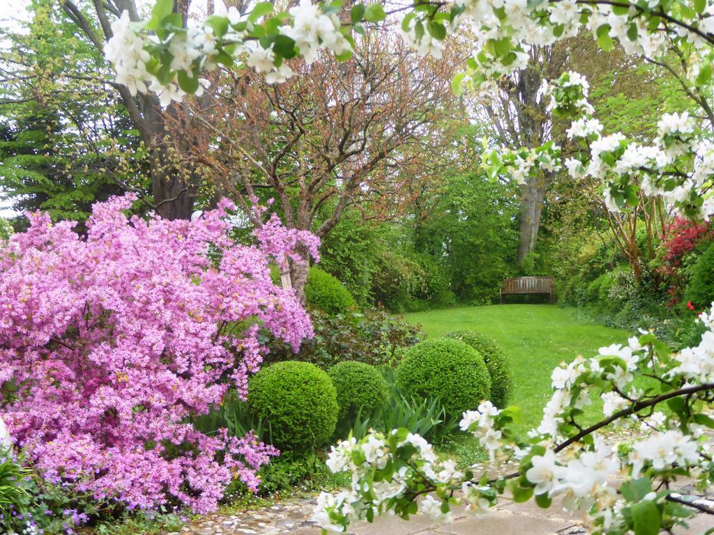 La Casa Del Giardiniere Villa Zero Branco Eksteriør billede